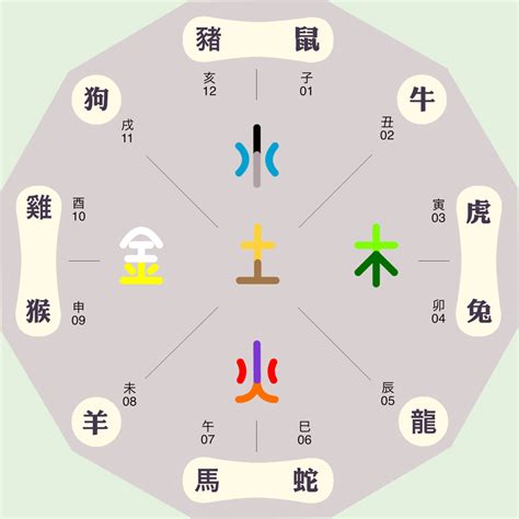 喬五行|喬字的五行属性